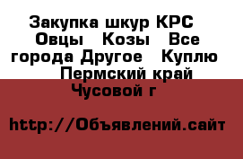 Закупка шкур КРС , Овцы , Козы - Все города Другое » Куплю   . Пермский край,Чусовой г.